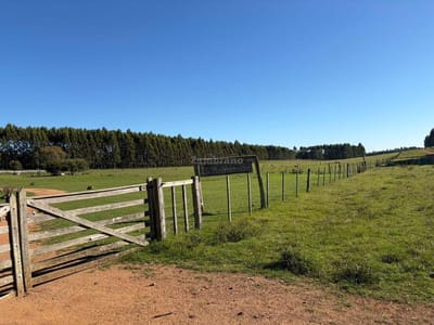 Venta Campo Durazno