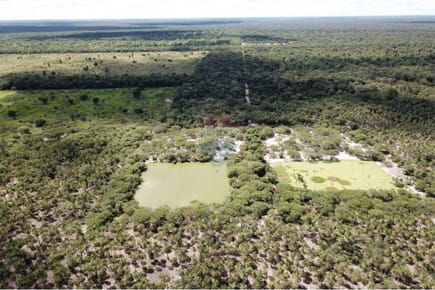 Estancia/Campo - Venta - Puerto Pinasco, Presidente Hayes, Paraguay