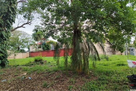 Terreno - Venta - Villa Aurelia, Asunción, Paraguay