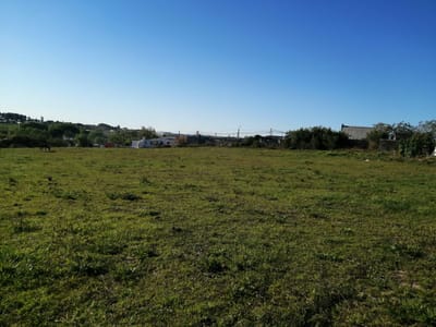 Venta Terreno 1ha Centro de Tacuarembó