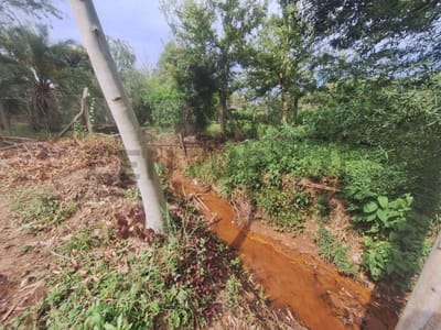 Vendo amplio terreno en Caacupe