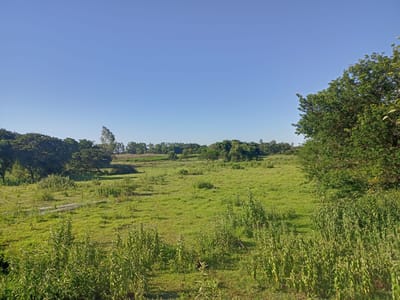 EN VENTA TERRENO DE 2 HECTÁREAS EN NUEVA ITALIA 