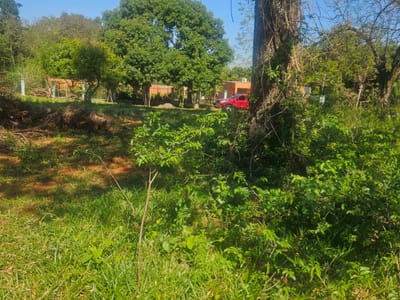 VENDO TERRENO EN AREGUA ZONA PINDOLO