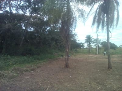 Lote de terreno remanzo 2