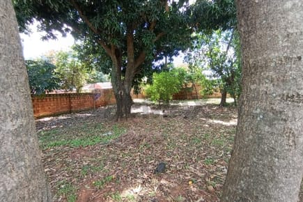 En Venta Terreno Capiata