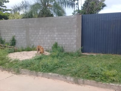 casa independiente en anticretico zona plan 3000 