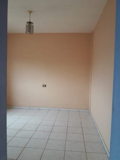 DPTOS. NUEVOS 