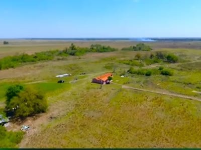 En venta estancia de 114 hectáreas en la localidad de primero de marzo 