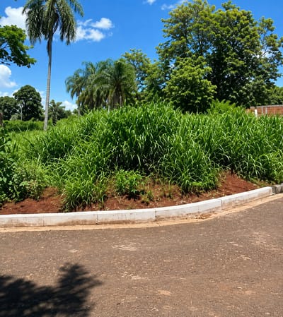 Vendo Terreno en Salto del Guairá | 441,25 m² | Gs. 80 Millones