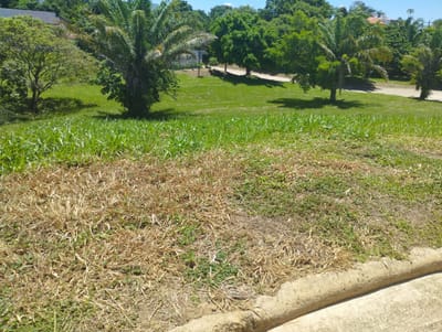  Urubo, 10mn Del Puente Foianini,hermoso Terreno  925m2 Condominio Florida 1.