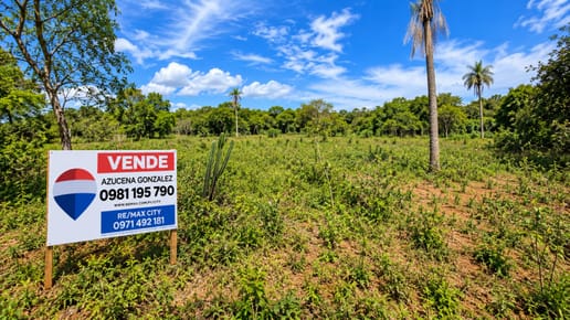 VENTA DE TRES TERRENOS CONTIGUOS,ISLA VALLE, AREGUA
