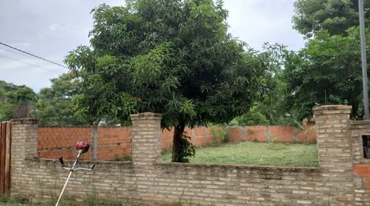 Terreno