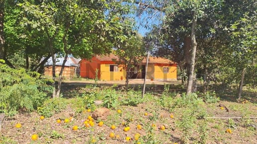 Venta de Estancia/Ganadera en Nueva Colombia, Cordillera