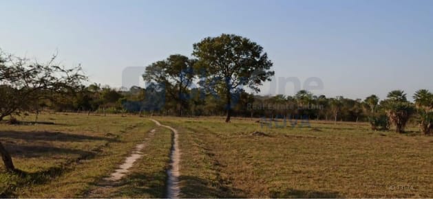 EN VENTA PROPIEDAD DE 79789 HECTAREAS EN CONCEPCION