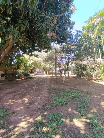 TERRENO EN VENTA – LAMBARÉ, SOBRE CARRETERA DE LOPEZ