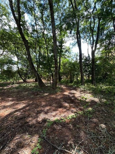 VENDO IMPONENTE TERRENO EN FDO. DE LA MORA-Z. SUR