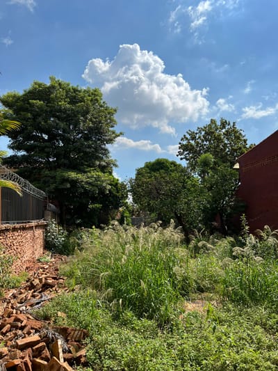 TERRENO EN VENTA LAMBARÉ‼️