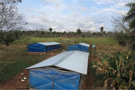 Venta Granja Ciudad Altos Superficie 8 hectareas