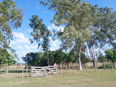 VENDO TERRENO EN SANTO TOMÁS (MBATOVI) - PARAGUARÍ