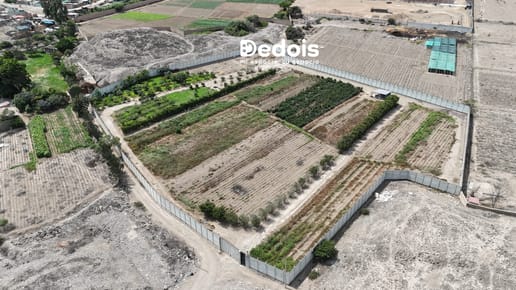 ¡venta Terreno De 13,900 M² En Pachacamac!