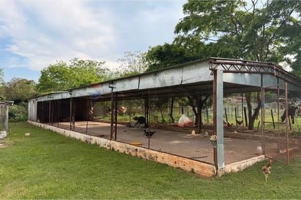 VENDO PEQUEÑA GRANJA EN CAPIATA ROJAS CAÑADA
