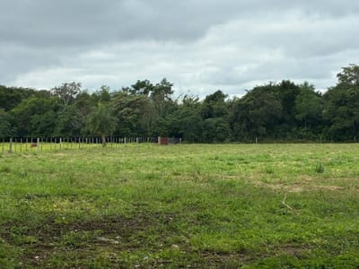 VENDO TERRENO DE 10 HECTAREAS EN SANTA ELENA - CORDILLERA