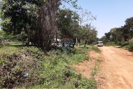VENDO 3 TERRENO EN LUQUE junto o separados