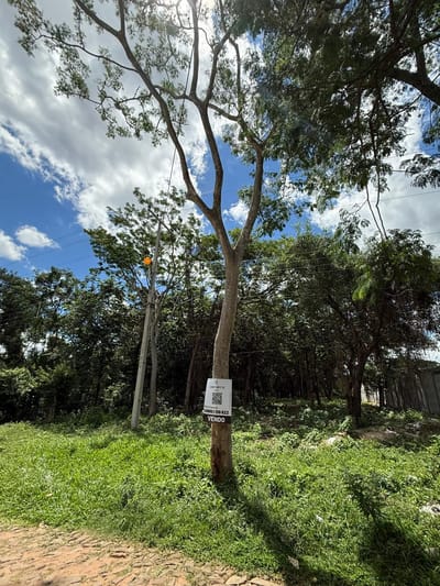 VENDO TERRENO DE 1.156 m2 EN SAN BERNARDINO