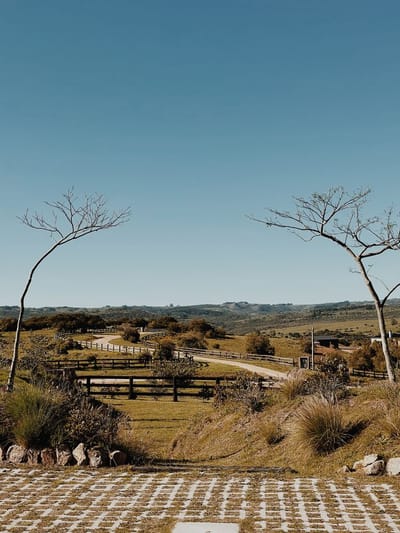 Venta Chacra 5 Has En Sierras Del Edén - Las Taperas
