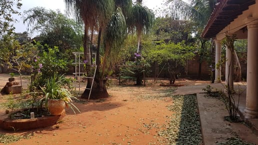 Vendo casa con gran terreno