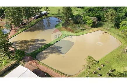 Estancia/Campo-Venta-PY Alto Paraná Tavapy