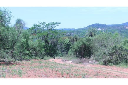 Terreno - Venta - Caacupé, Cordillera, Paraguay