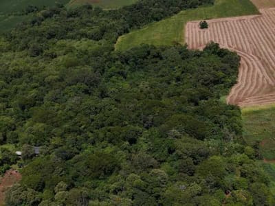 10 Hectareas en Venta Maria Auxiliadora y Tomas Romero Pereira