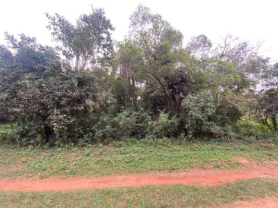 Venta de Terreno en Altos, Cordillera