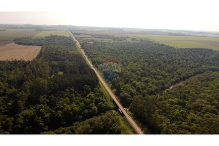 Finca Agrícola - Venta - Pirapó, Paraguay