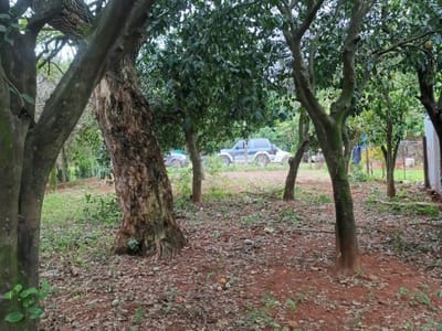 VENDO TERRENO EN GUARAMBARE