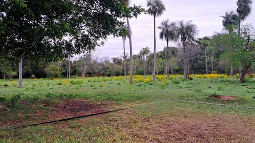VENDO PROPIEDAD CON TERRENO DE 1 Há EN CAACUPE, COMPAÑIA ITA IVU GUASU