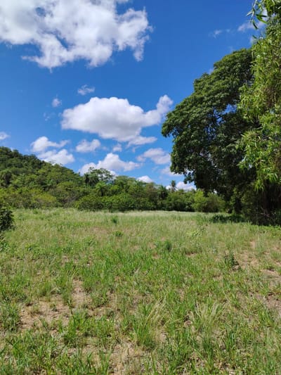EN VENTA AMPLIO TERRENO EN SAN BERNARDINO, PIRAYU’I