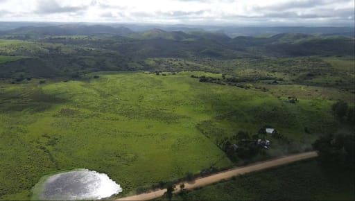 Campo 221 há Caza Mayor y Turismo sobre Ruta 98 — Sierra, Agua y Luz — Treinta y Tres