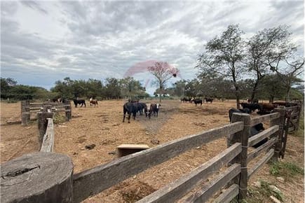 Estancia Agricola Ganadera de 7,974 hectáreas en el Chaco Neuland 