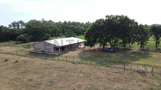 GRANJA PRODUCTIVA EN VENTA – 8 HECTÁREAS EN NUEVA ITALIA