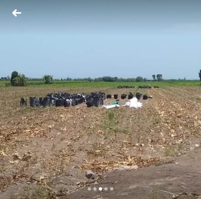 TERRENOS AGRÍCOLAS EN VENTA