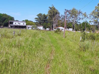 VENDO ESTANCIA EN GRAL. AQUINO- SAN PEDRO 133HAS