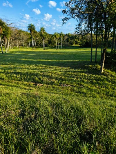 VENDO TERRENO EN CARAPEGUÁ 