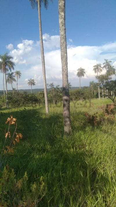 Venta de Propiedad Agrícola en Paraguarí, Paraguarí
