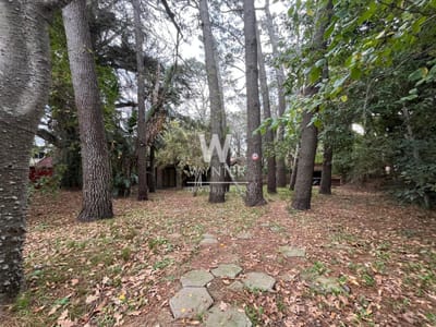 Terreno en venta apto para construir bloque bajo