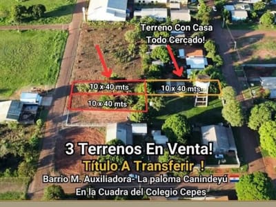  3 TERRENOS EN BARRIO MARÍA AUXILIADORA LA PALOMA