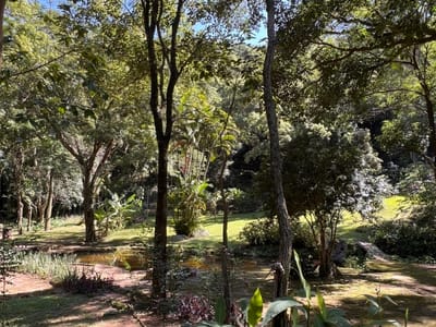 8 HECTAREAS EN PARAGUARI MBABTOVI