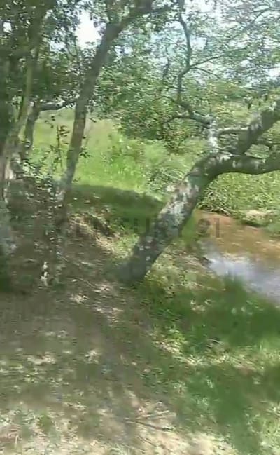 Venta de Propiedad Agrícola en Escobar, Paraguarí