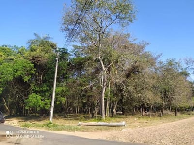 VENDO TERRENO EN SAN BERNADINO
